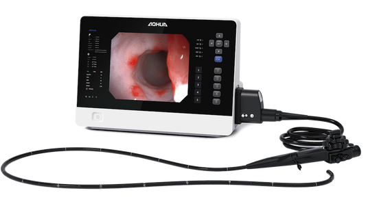 Servicio de endoscopía veterinaria