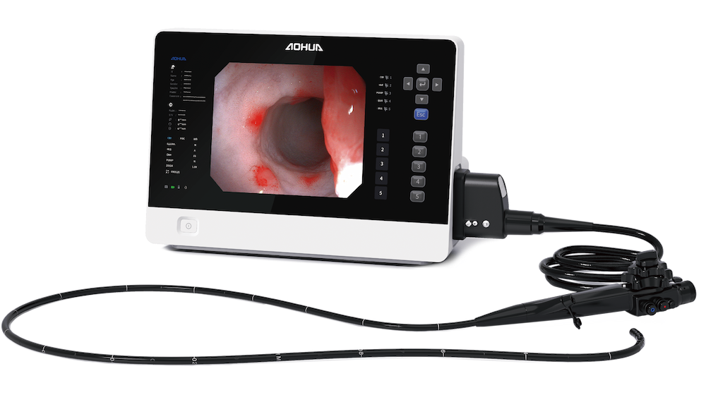 Servicio de endoscopía veterinaria