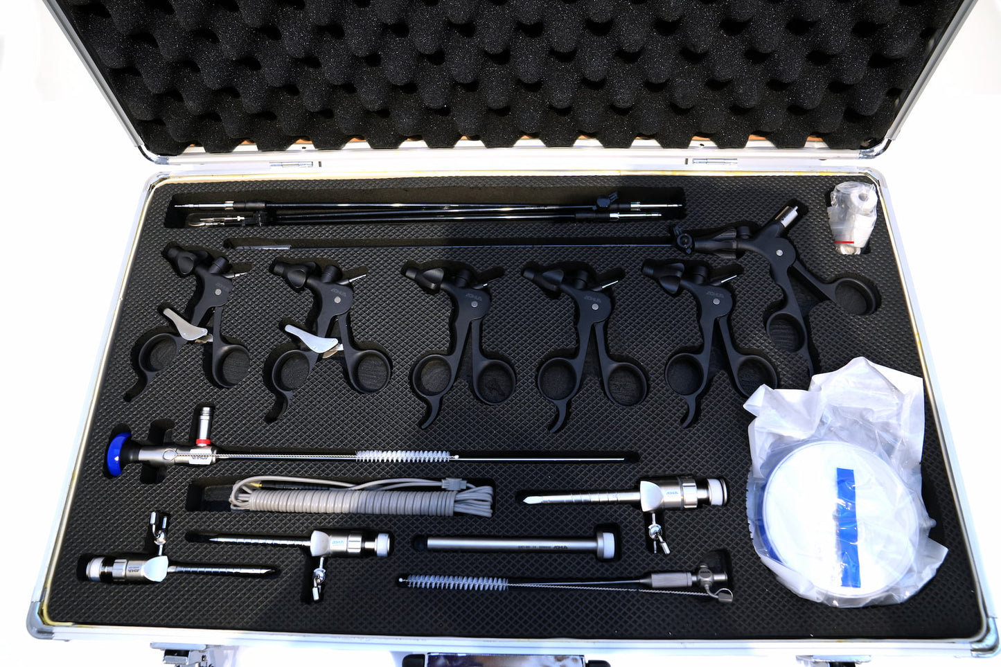 Servicio de endoscopía veterinaria