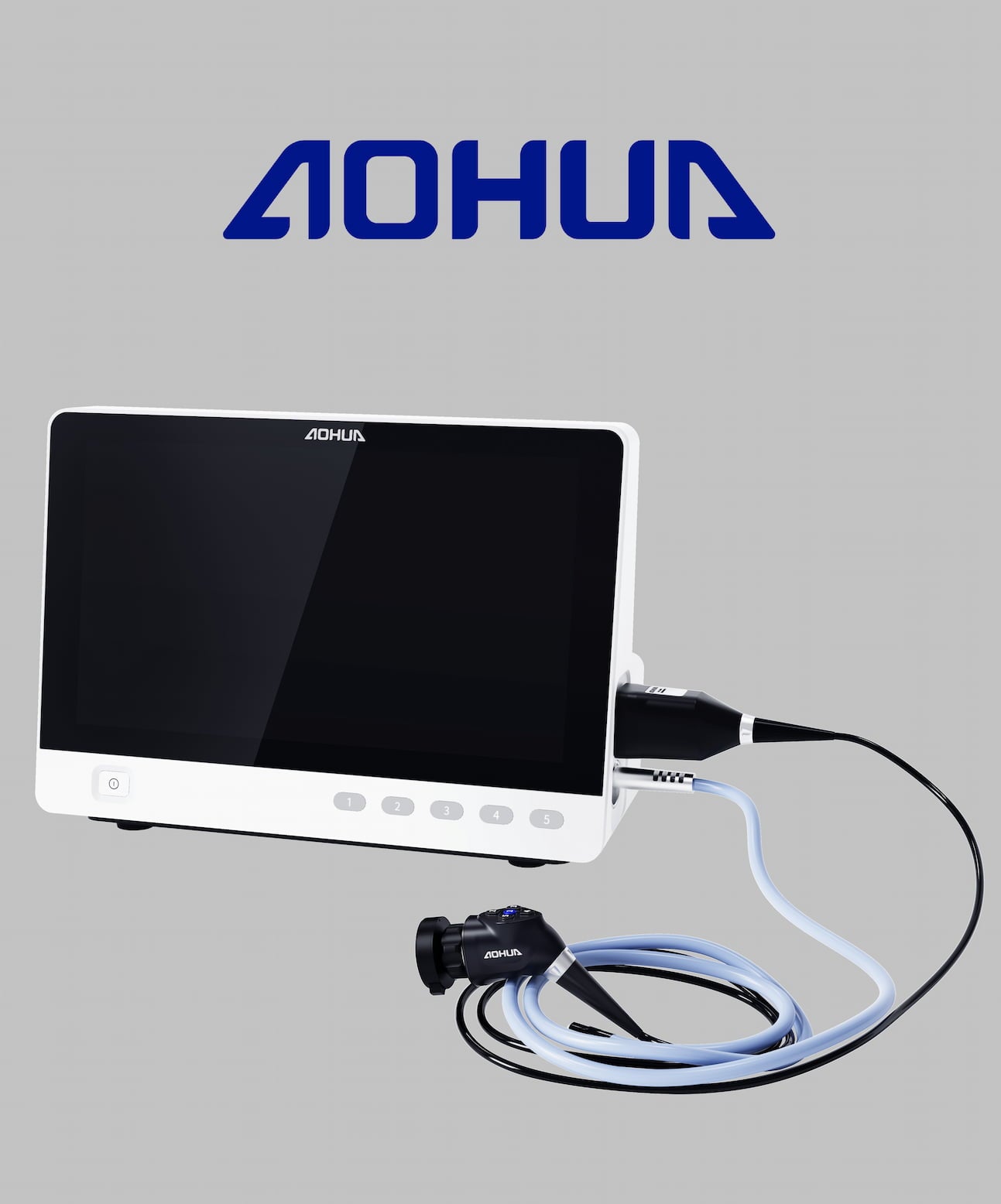 Servicio de endoscopía veterinaria