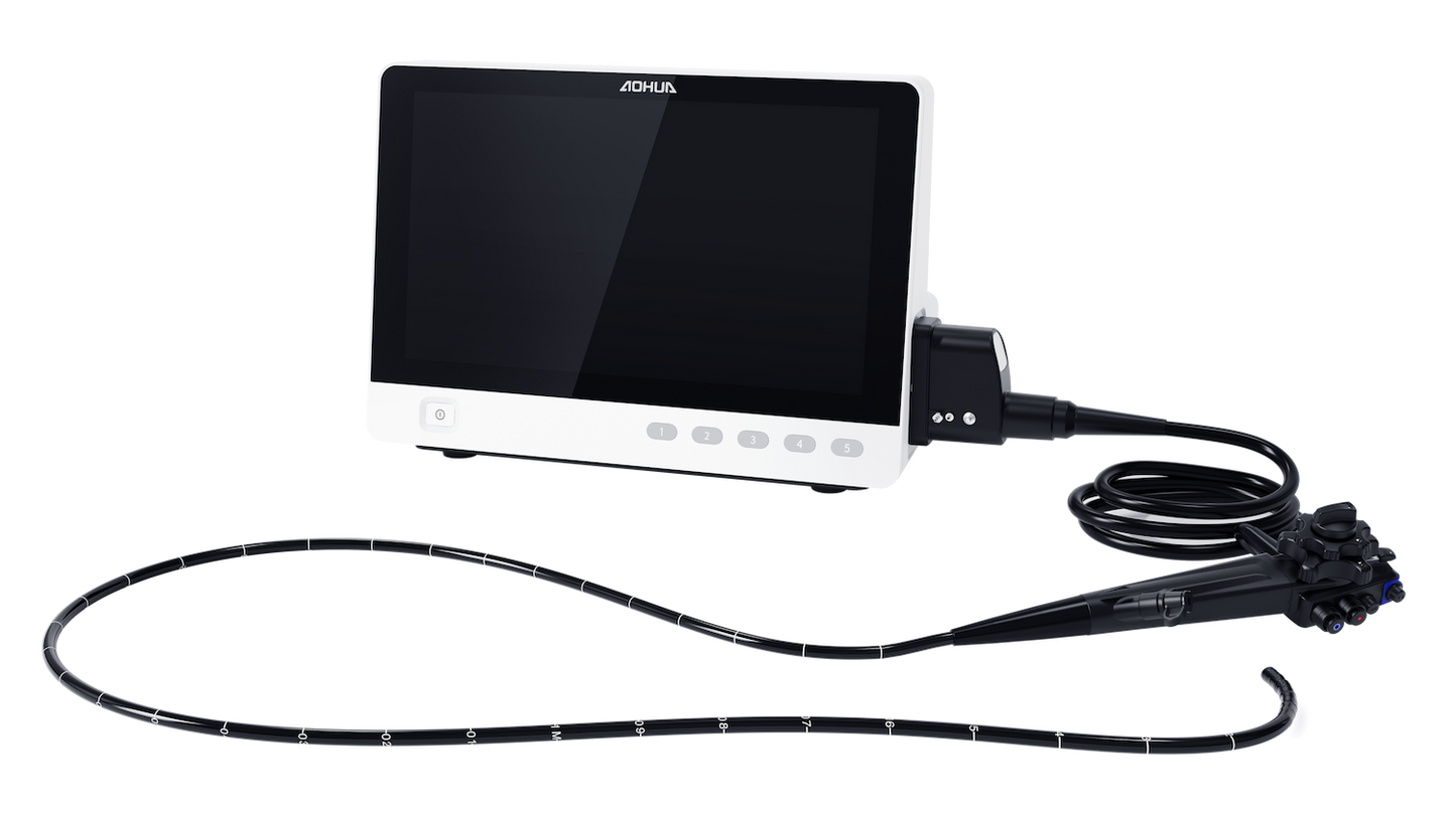 Servicio de endoscopía veterinaria